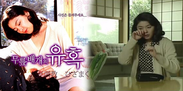 หนังเรทอาร์ สาวใหญ่ดูดอมขย่มมันส์ Married woman horse training knee pillow