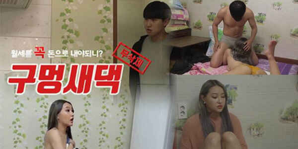 หนังเรทอาร์เกาหลี เย็ดกันวันเงี่ยน ๆ Bird of the Hole Movies 18+